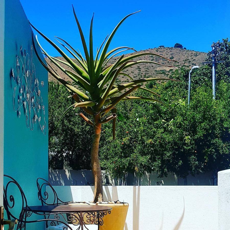 Avatara Bed & Breakfast Ciudad del Cabo Exterior foto